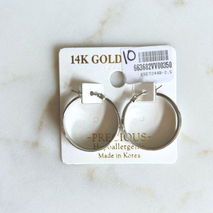 Jewelry: Hoop Earrings